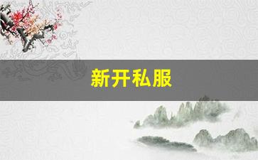 新开私服(传奇新开服网站大全) (6)